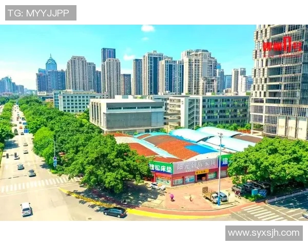 杭州乒乓球队防守革新之路探秘与未来发展展望