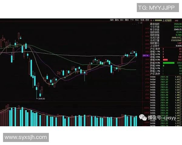 广州羽毛球队与上海羽毛球队赛后复盘分析比赛节奏与战术对比